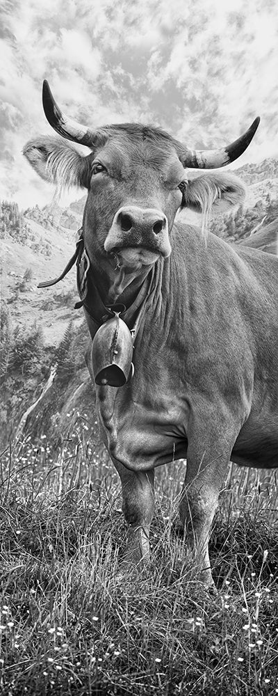MT520001 Mountain Queen