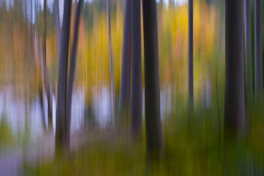 FF320016 Herbststimmung am Waldsee