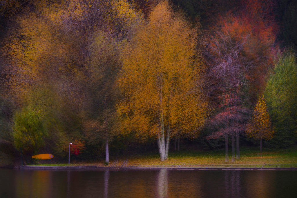 FF320018 Herbst am Waldsee
