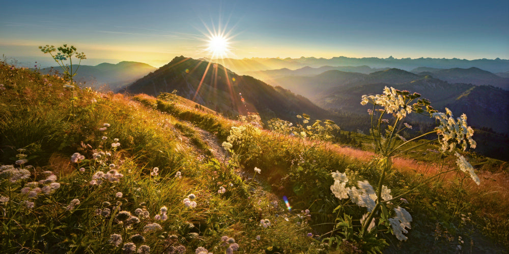 LN210006 Sonnenaufgang auf dem Hochgrat