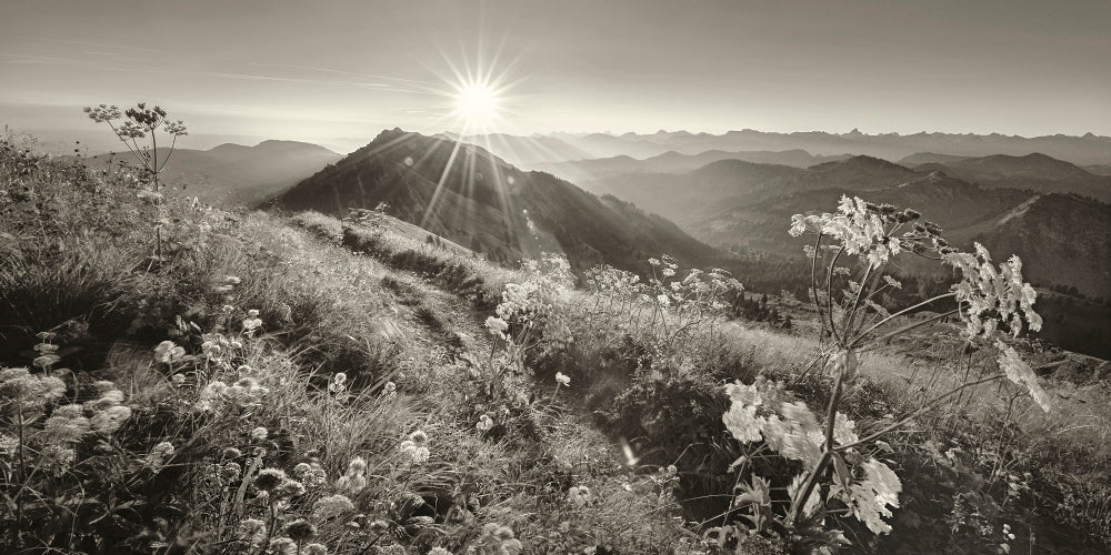 LN210007 Sonnenaufgang auf dem Hochgrat
