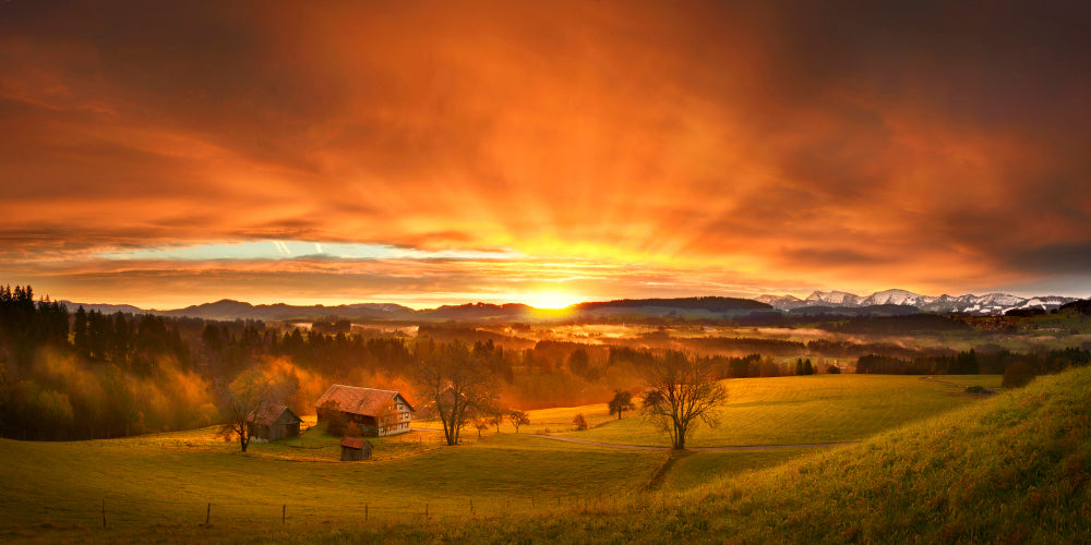 LN210016 Morgenrot im Allgäu