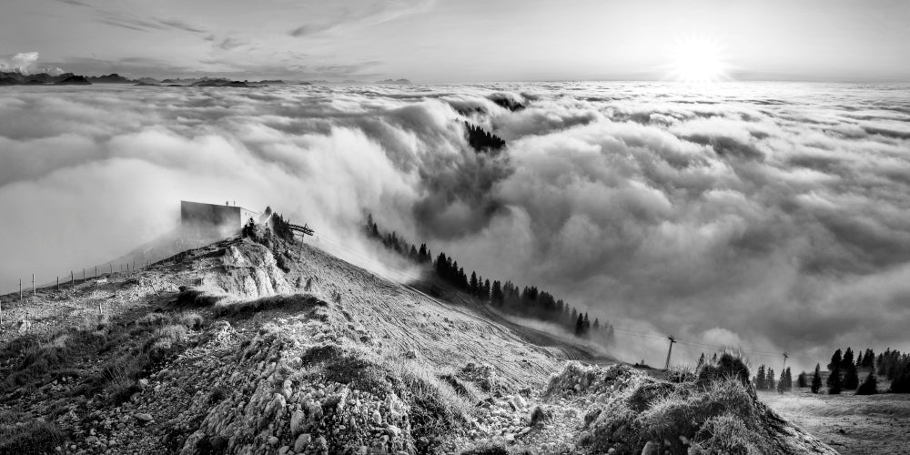 LN210019 Nebelmmer am Hochgrat