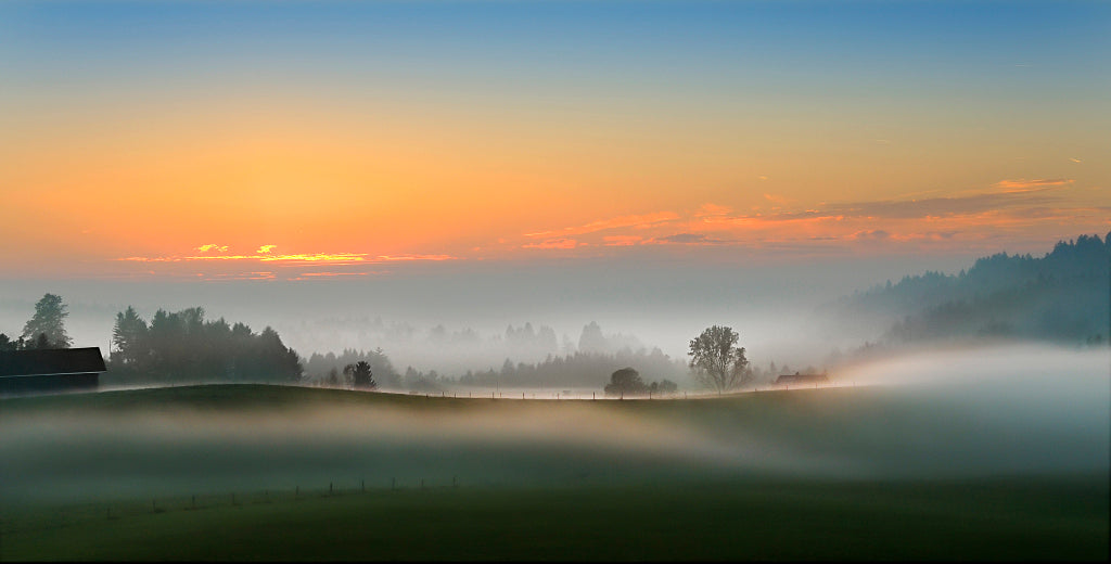 LN210022 Herbstnebel bei Scheidegg