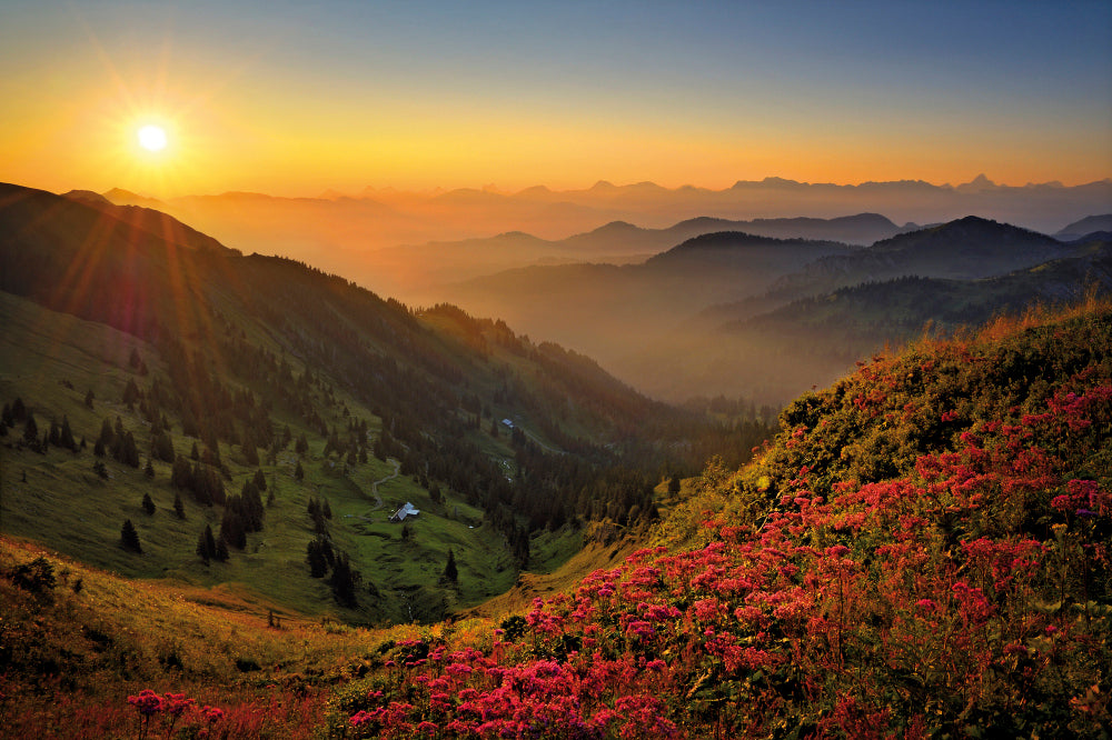 LN320009 Sonnenaufgang am Hochgrat