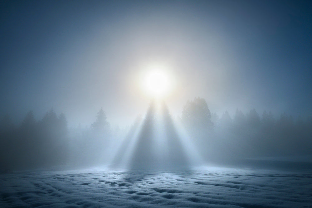 LN320016 Erleuchtung im Winternebel