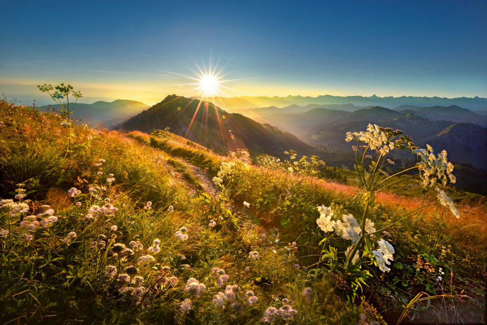 LN320017 Sonnenaufgang auf dem Hochgrat