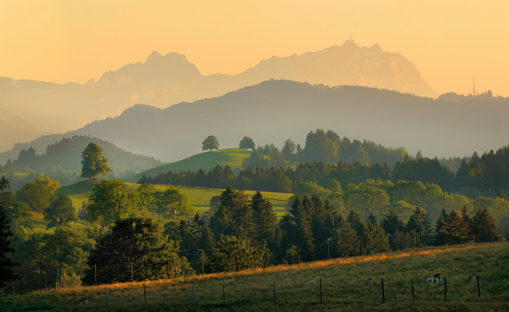 LN320021 Westallgäu mit Säntis