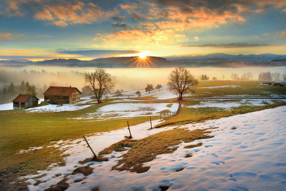 LN320023 Frühling im Allgäu