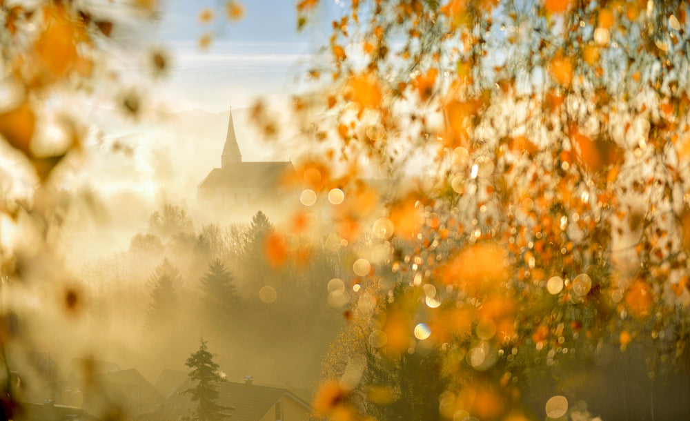 LN320024 Herbststimmung Heimenkirch