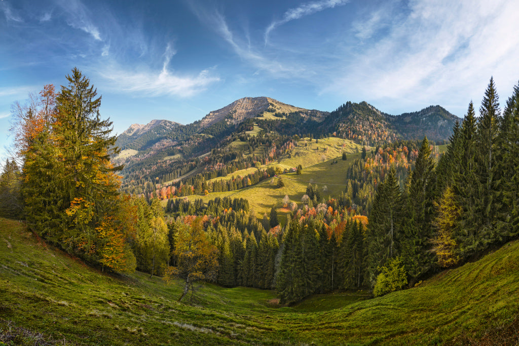 LN320040 Lanzenbachtal mit Hochgrat