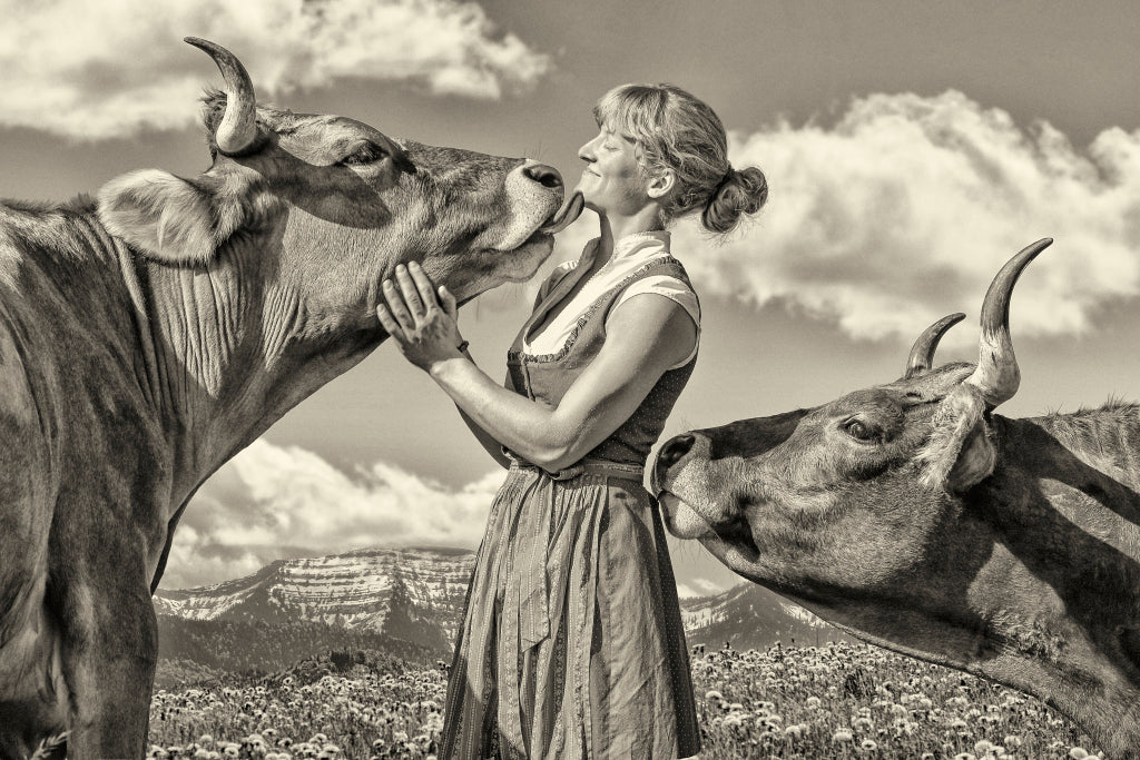 MT320007 Cowgirls
