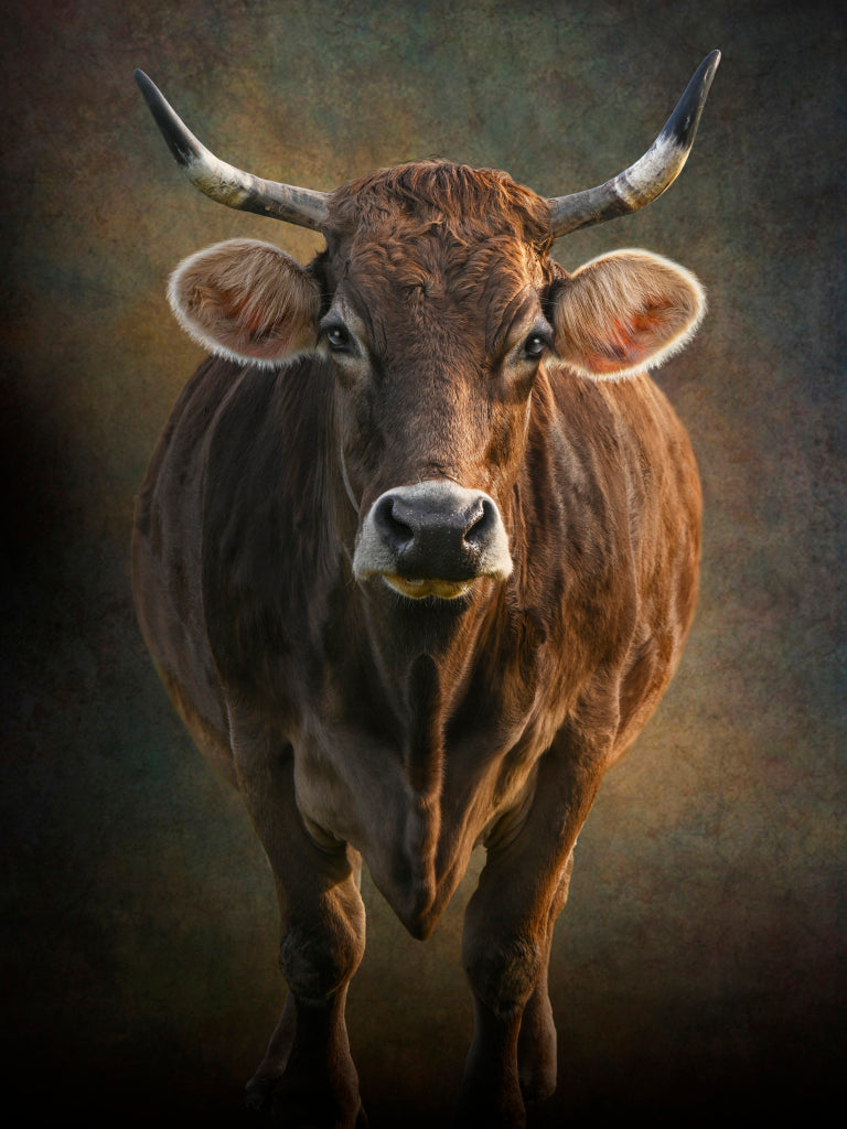 MT430031 Old Lady