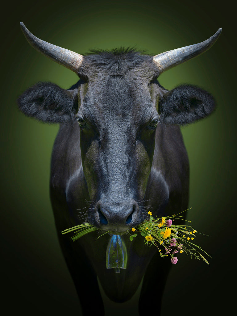 MT430006 Wagyu mit Wiesenblumen