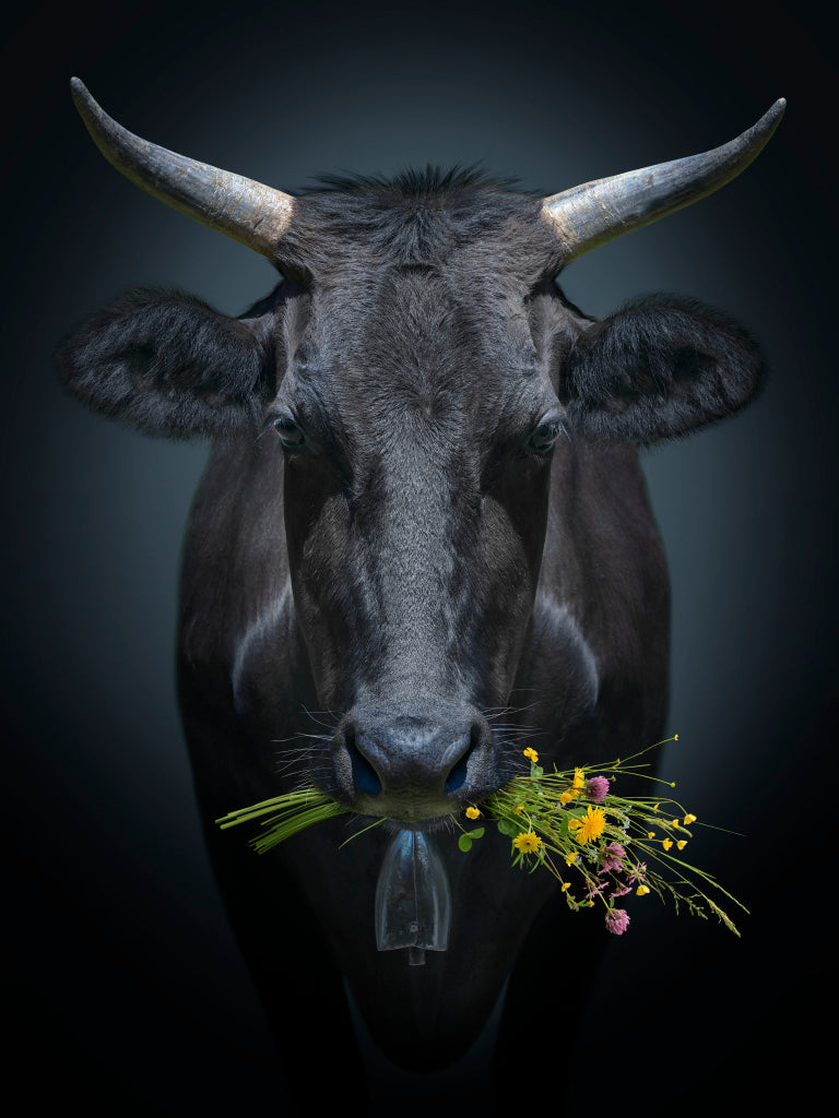 MT430010 Wagyu mit Wiesenblumen