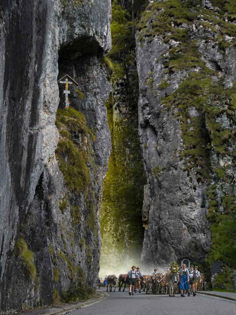 MT430024 Viehscheid Obermaiselstein
