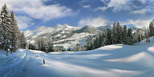 LN210020 Winter im Lanzenbachtal