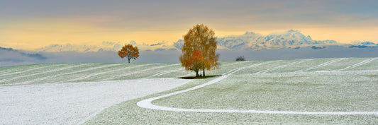 LN310007 Erster Schnee im September