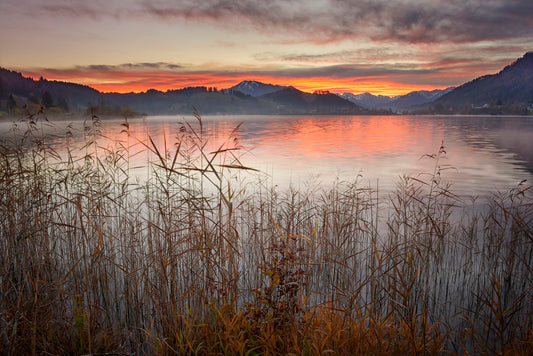 LN320001 Morgendämmerung am Alpsee