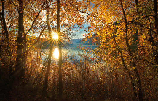 LN320002 Sonnenaufgang am Alpsee