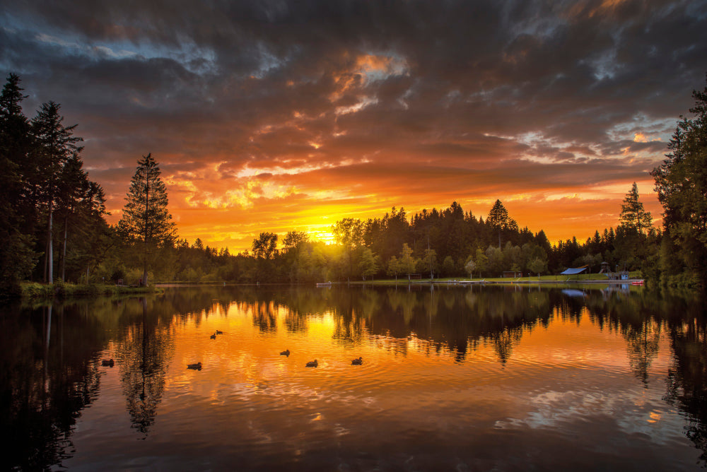 LN320029 Abendrot am Waldsee