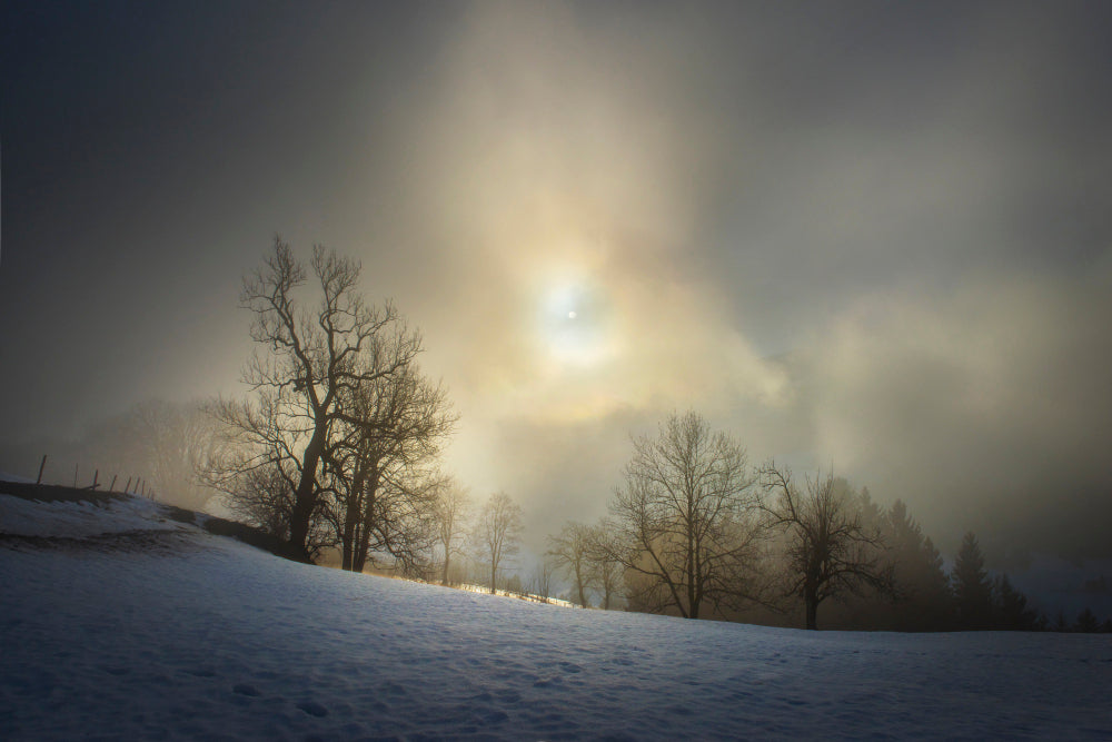 LN320031 Winternebel mit Sonnenfenster